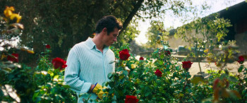 Rosebush Pruning (2026) download