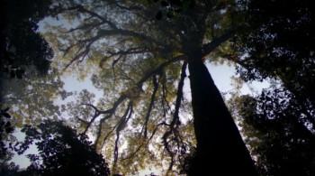 Ruk jung (2006) download