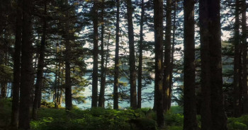 Sacred Alaska (2023) download