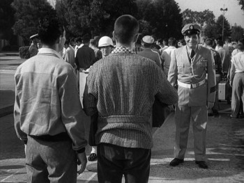 Sailor Beware (1952) download