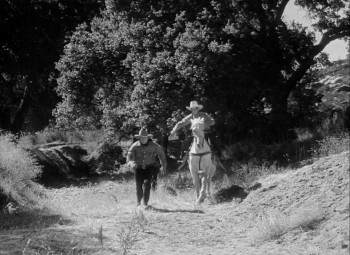 Santa Fe Stampede (1938) download