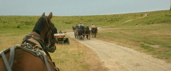 Sarah's Oil (2025) download