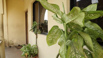 Seized the moment (2025) download