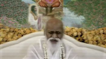 Shadows of Paradise (2016) download