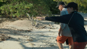 Sharks: Reef Rivals (2026) download
