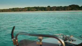 Sharks: Reef Rivals (2026) download