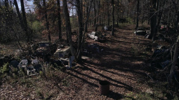 Shelby Oaks (2024) download