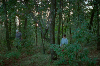 Short Summer (2025) download