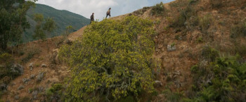 Sierra Madre (2026) download