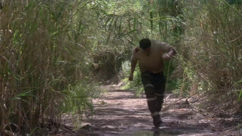 Silent Venom (2009) download