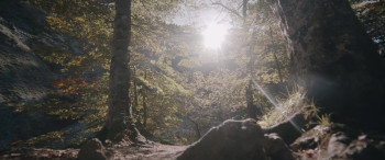 Silver, Speik and Sumpters (2024) download