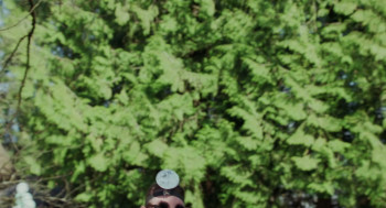 Sisters (2006) download