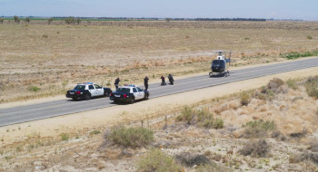 SkyFly (2024) download