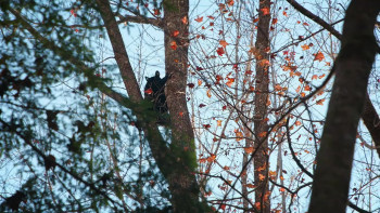 Smoky Mountain Park Rangers (2021) download