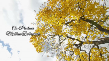 Snow Falling on Pumpkins (2025) download