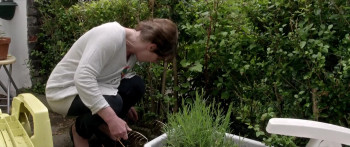 So Help Me God (2017) download