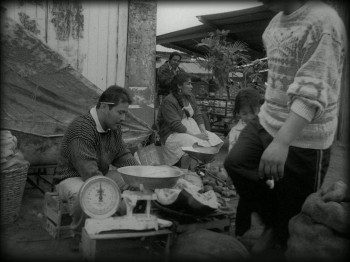 Song Without a Name (2019) download