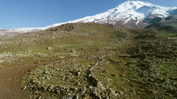 Speed Expeditions (2023) download