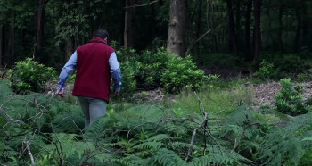 Sticky Toffee Pudding (2020) download