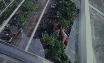 Stockholm Marathon (1994) download