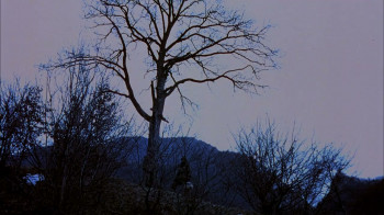 Straight Into Darkness (2004) download