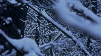 Straight Into Darkness (2004) download