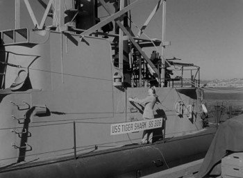 Submarine Command (1951) download