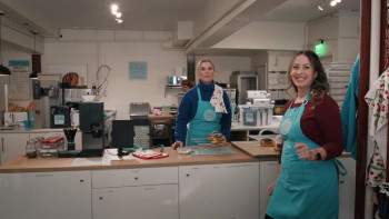 Sugar & Vice: A Hannah Swensen Mystery (2026) download