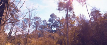 Tales of Jovia Anthology (2025) download