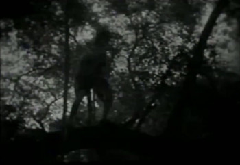 Tarzan the Tiger (1929) download