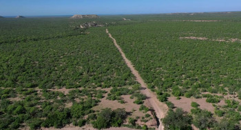 Team APS (2024) download