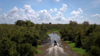 Terri Joe: Missionary in Miami (2026) download