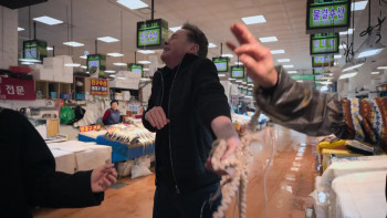 The Accidental Tourist (2025) download