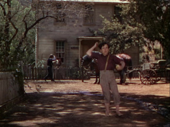 The Adventures of Tom Sawyer (1986) download