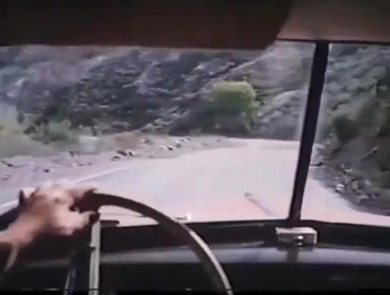 The Alchemist (1983) download