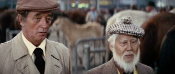 The Amsterdam Kill (1977) download