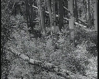 The Big Sky (1952) download