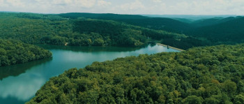 The Boonies (2021) download