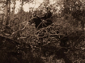 The Calgary Stampede (1925) download