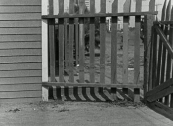 The Champeen (1923) download