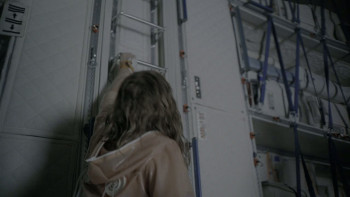 The City of Crosses (2016) download