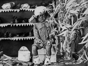 The Cobbler (1923) download