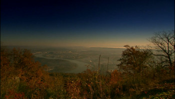 The Conscientious Objector (2004) download