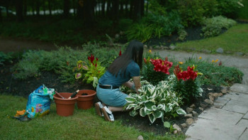 The Couple Across the Street (2026) download