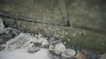 The Crossbow Cannibal (2025) download