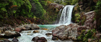 The Cure (2026) download