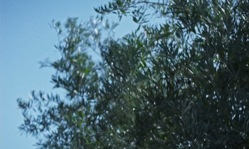 The Exiles (2024) download