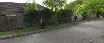 The Forest Clown (2025) download