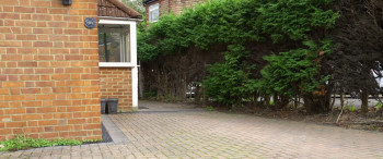 The Forest Clown (2025) download