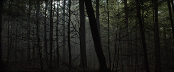 The Forest Hills Festival Cut (2023) download